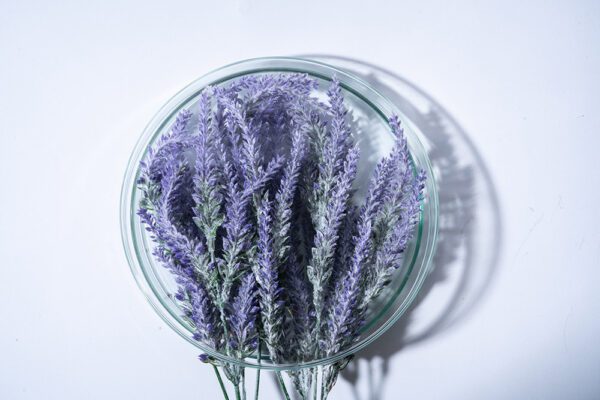 linalool cbd benefits